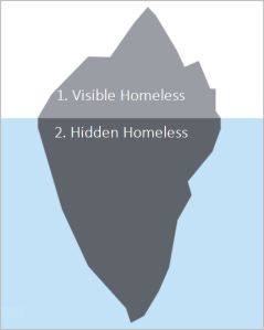 iceberg homeless count