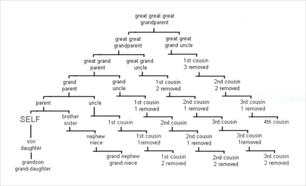 Examples Of Family Pedigree Charts